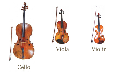 String instruments violin, viola, cello